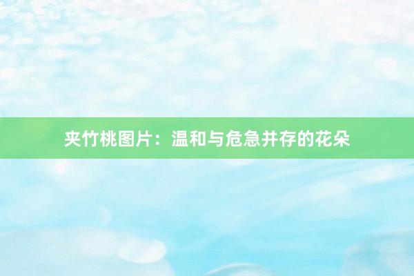 夹竹桃图片：温和与危急并存的花朵